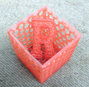 Printed Honeycomb box with Rutgers R