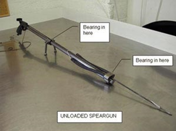 Bearings in a Fishing Speargun, Application